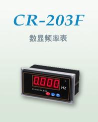 CR203F系列频率表