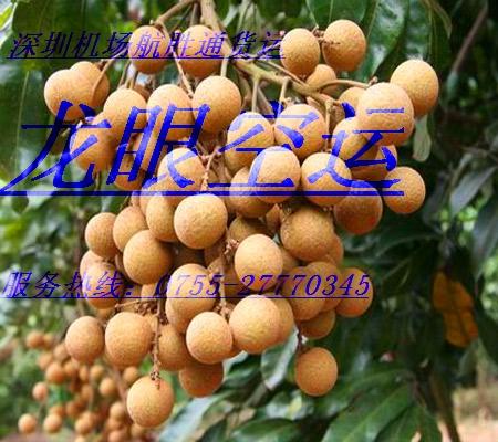 航空貨運(yùn)圖片/航空貨運(yùn)樣板圖 (3)
