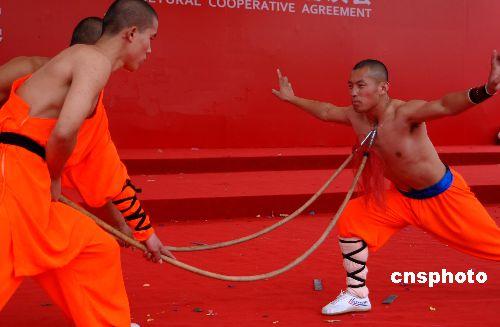 供應東莞雜技團表演