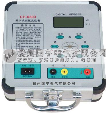 GH-6303高壓數(shù)字兆歐表圖片