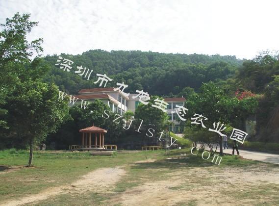 農(nóng)家樂野炊圖片/農(nóng)家樂野炊樣板圖 (4)