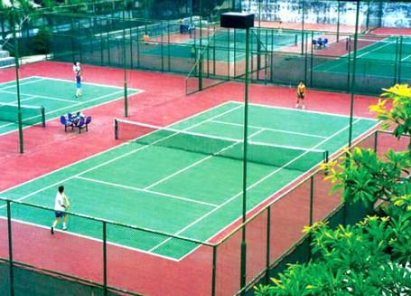 硅pu球場材料圖片/硅pu球場材料樣板圖 (3)