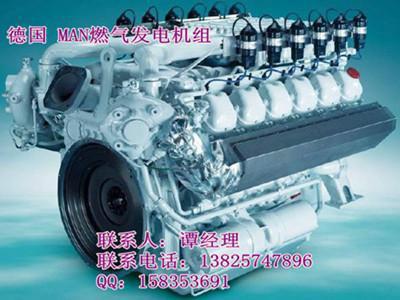 供應(yīng)德國MAN335KW燃?xì)獍l(fā)電機(jī)組