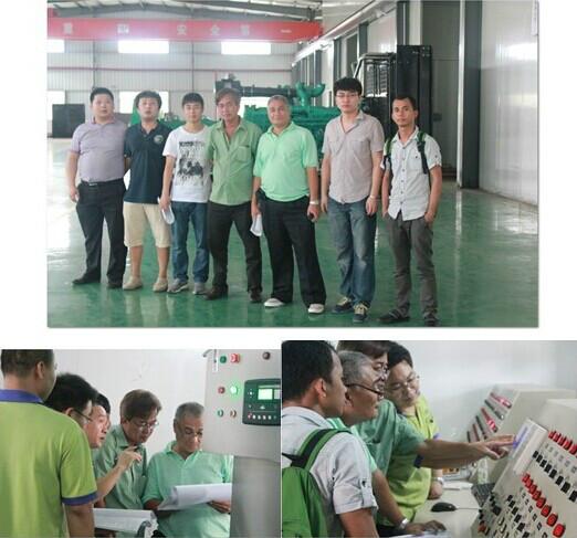 供應(yīng)進(jìn)口燃?xì)獍l(fā)電機(jī)組配套工程