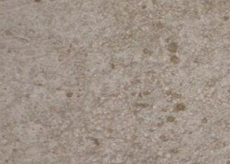 供應(yīng)陽(yáng)離子氯丁膠乳防水防腐砂漿