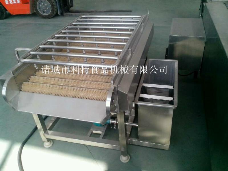 供應(yīng)紅棗加工設(shè)備、棗子清洗機(jī)、棗子清洗加工線