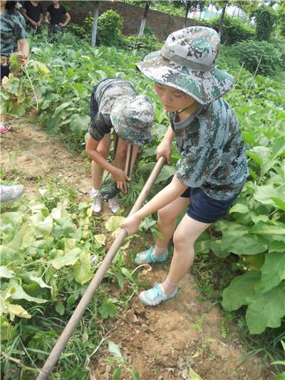 夏令营体验交流提高为教育模式图片