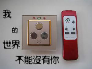 供應(yīng)觸摸開(kāi)關(guān)遙控國(guó)家*產(chǎn)品