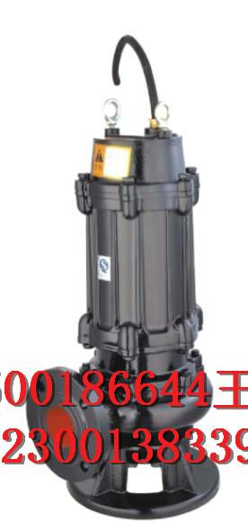 開利優(yōu)質(zhì)潛污泵圖片