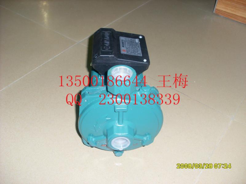 源立CP-158清水泵圖片