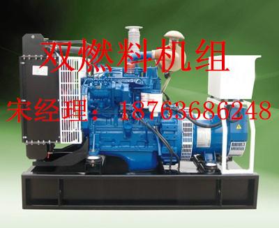 供應(yīng)濰坊50KW燃氣機組