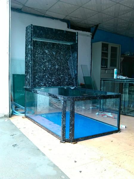 生態(tài)魚(yú)缸圖片/生態(tài)魚(yú)缸樣板圖 (3)