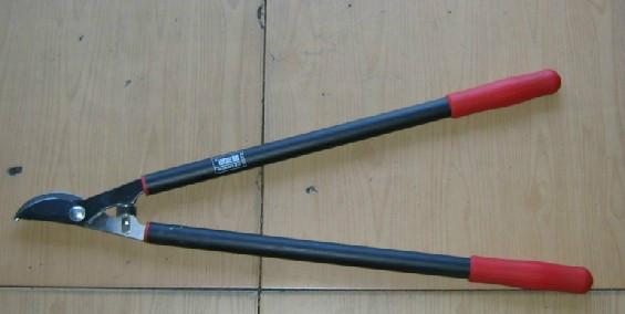 佐川吉圖片/佐川吉樣板圖 (2)