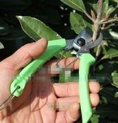 臺灣佐川吉果剪、曲刃型果柄剪711A、佐川吉果柄剪價格