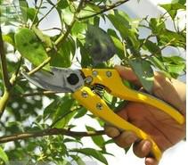 佐川吉V-8T修枝剪圖片