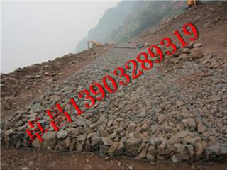 供應(yīng)五絞格網(wǎng)石籠鍍鋅石籠網(wǎng)堤防格賓網(wǎng)