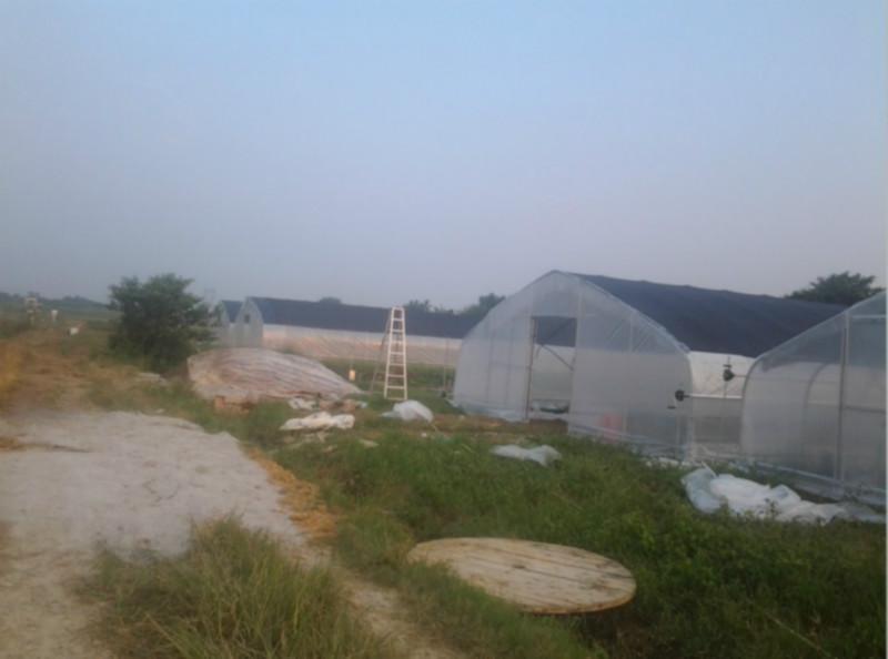 供應(yīng)【普通溫室大棚】廣州普通溫室大棚，湖南農(nóng)用溫室大棚