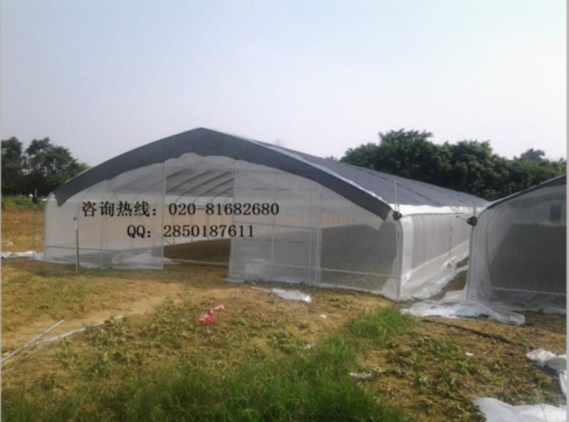 廣州芳誠園藝設(shè)備有限公司-是專業(yè)搭建溫室大棚？