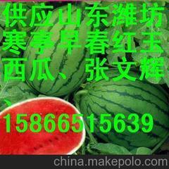 供應(yīng)山東西瓜山東甜瓜產(chǎn)地行情