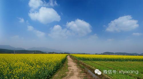 供應滑翔傘動力傘，滑翔傘體驗，動力傘體驗，湖南翼翔動力滑翔傘俱樂部