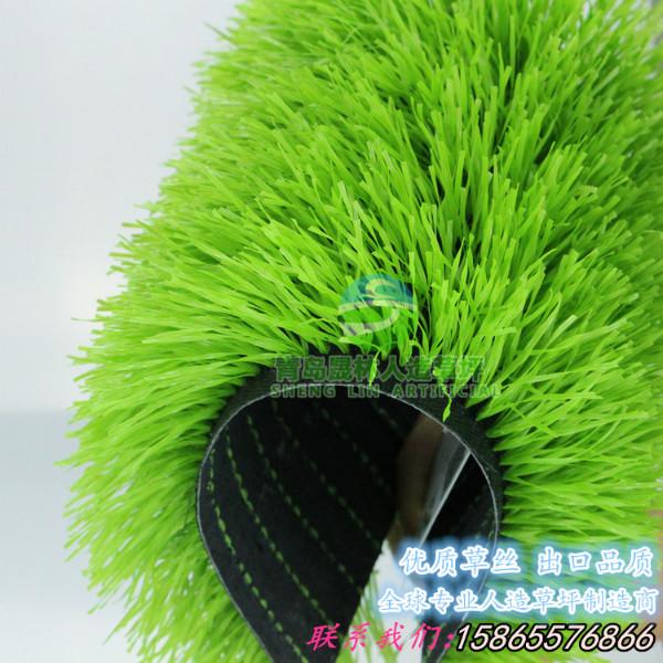 足球場專用草坪圖片/足球場專用草坪樣板圖 (2)