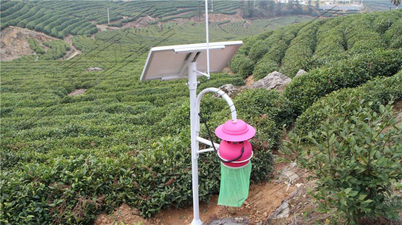 供應(yīng)殺蟲(chóng)燈/立桿式太陽(yáng)能殺蟲(chóng)燈