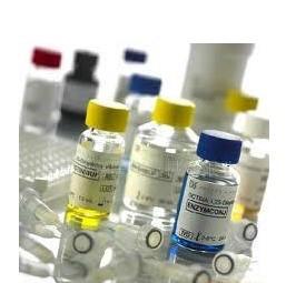 供應(yīng)進(jìn)口生物試劑上海代理報(bào)關(guān)公司