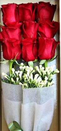 厄瓜多爾玫瑰鮮花進(jìn)口代理報(bào)關(guān)公司圖片