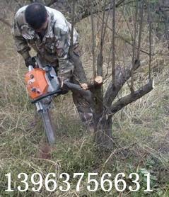 廠家供應(yīng)挖樹機(jī)  便攜式挖樹機(jī)