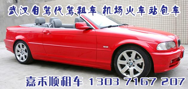 武昌租婚車圖片/武昌租婚車樣板圖 (4)