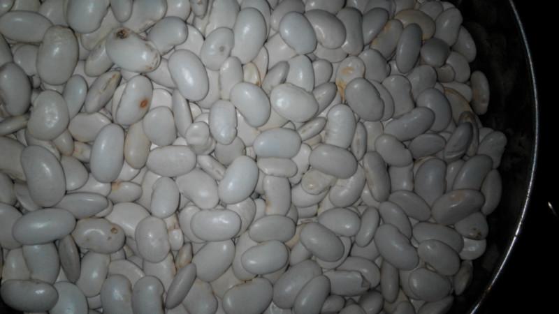 供應白蕓豆，白蕓豆批發(fā)，白蕓豆產(chǎn)地直銷，白蕓豆價格，成都白蕓豆批發(fā)