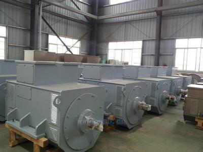 供應高壓發(fā)電機/發(fā)電機技術/進口發(fā)電機