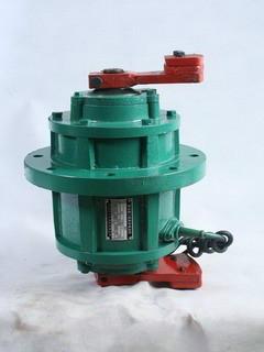 新鄉(xiāng)宏達振動T05立式電機圖片