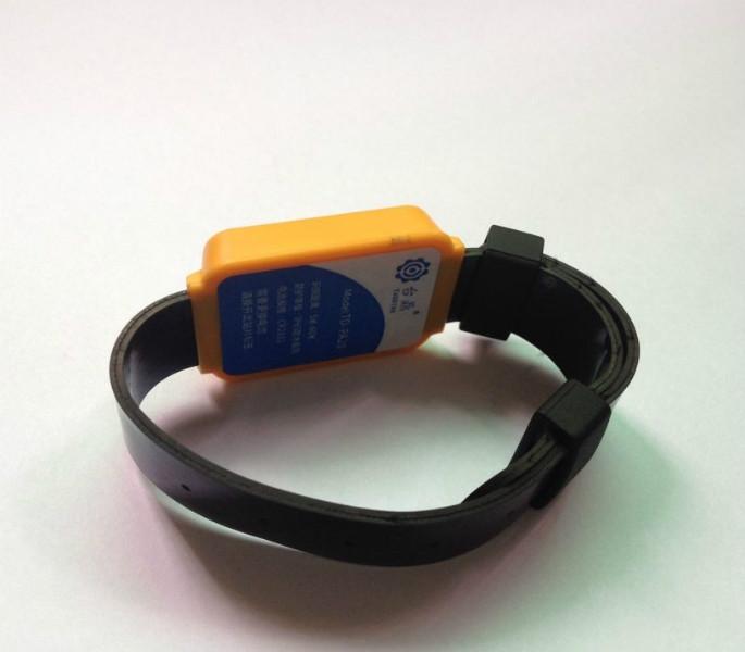 供應(yīng)防拆手腕帶 臺(tái)鼎手腕帶 2.4G手腕帶 有源手腕帶