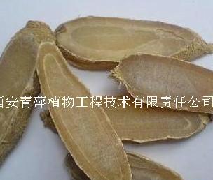 供應(yīng)郁金提取物5：1廠家直銷/大量批發(fā)/*惠