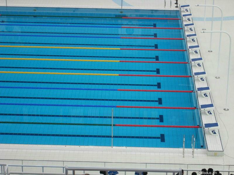 供應(yīng)福建泳池分道線，泳道線，泳池水線，游泳池浮標(biāo)廠家*