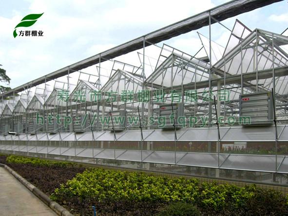 方群棚業(yè)專業(yè)承建溫室大棚圖片