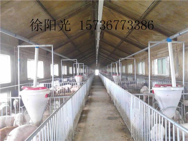 供應(yīng)干濕喂料器