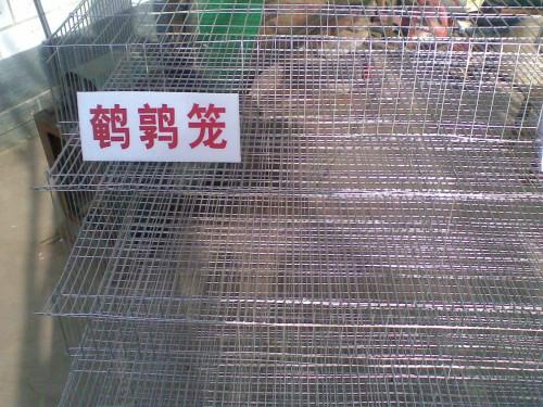 供應(yīng)臨沂養(yǎng)殖籠那便宜