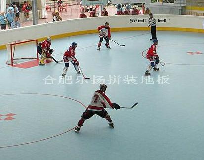 供應(yīng)無錫輪滑場(chǎng)*拼裝運(yùn)動(dòng)地板