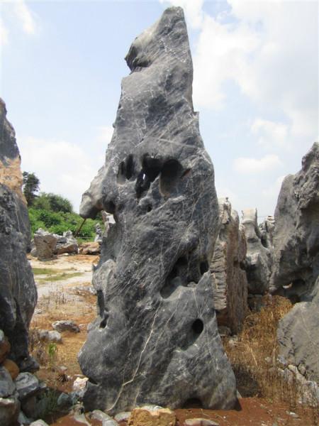 供應(yīng)園林太湖石，園林太湖石假山，園林太湖石假山制作，園林太湖石價錢