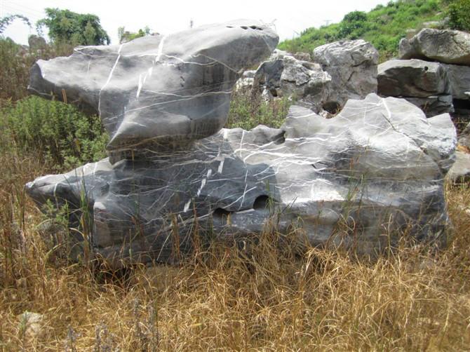 供应园林太湖石，园林太湖石假山，园林太湖石假山制作，园林太湖石价钱图片