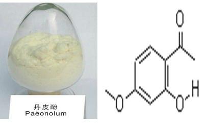 供應(yīng)丹皮酚提取物抑制動脈粥樣硬化斑塊的形成