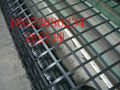 山東鋼塑土工格柵技術(shù)參數(shù)@山東鋼塑土工格柵廠家，山東鋼塑土工格柵