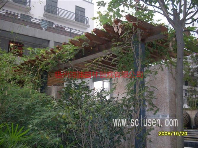 供應(yīng)靈山縣防腐木花架，靈山縣防腐木花架免費(fèi)上門(mén)設(shè)計(jì)