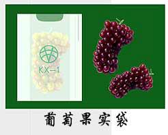 葡萄果實袋圖片