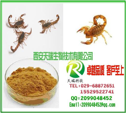 全蝎提取物 全蝎浸膏粉 全蝎浓缩粉 品牌：西安天瑞