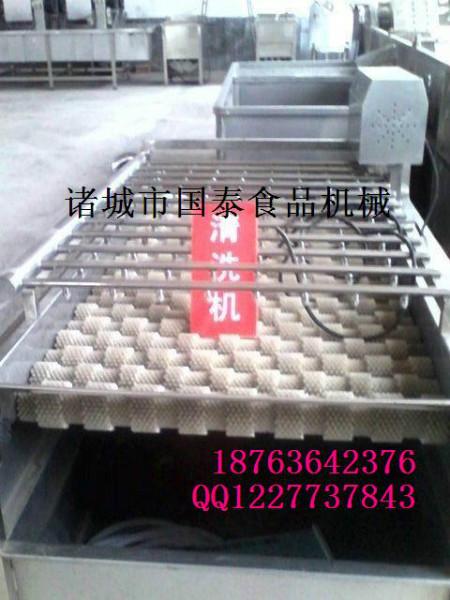 供應(yīng)大棗清洗機(jī)山菌清洗機(jī)菌類清洗