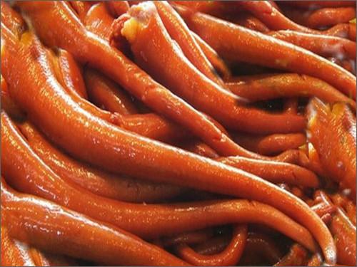 供應(yīng)鹵肉培訓(xùn)多少錢？