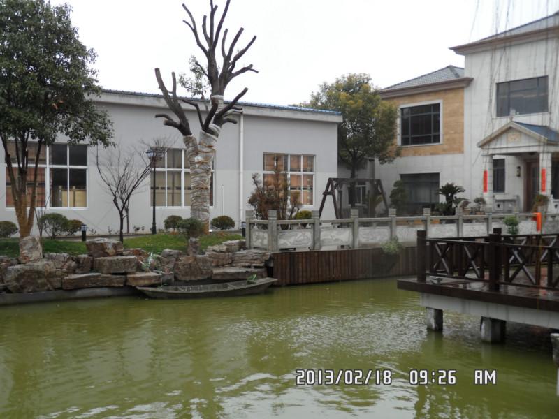 哪里有靈璧石假山蓮花石龜紋石最好圖片